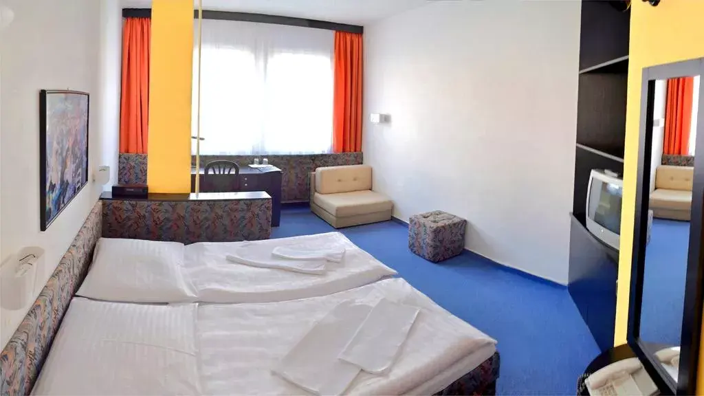 Photo 3 of Hotel U TŘÍ LVŮ